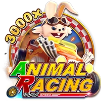 ANIMAL RACING - SUNBET388