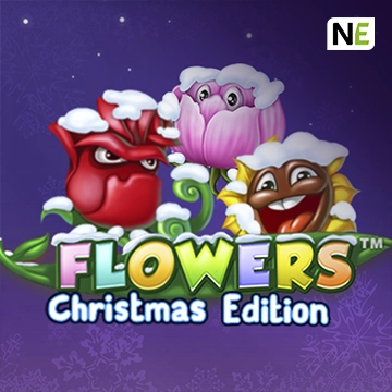 Flowers Christmas Edition - SUNBET388