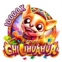 CHILIHUAHUA - SUNBET388