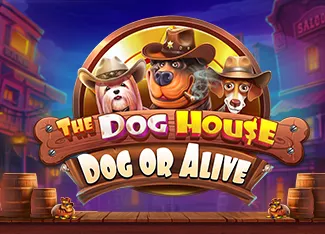 The Dog House - Dog or Alive - SUNBET388