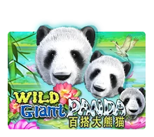 Wild Giant Panda - SUNBET388