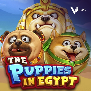 The Puppies In Egypt - SUNBET388