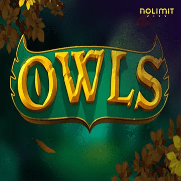 Owls - SUNBET388