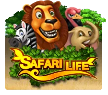 Safari Life - SUNBET388