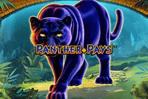Panther Pays - SUNBET388