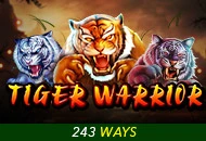 Tiger Warrior - SUNBET388