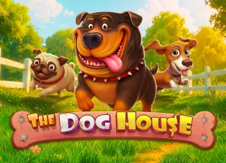 The Dog House - SUNBET388