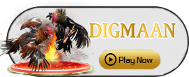 Digman - SUNBET388