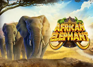 African Elephant - SUNBET388